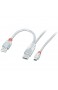 LINDY USB 2.0 Dual Power Y-Kabel Typ 2X A(20cm)/Mini-B 0 5m