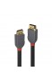 LINDY 36482 2m DisplayPort 1.4 Kabel Anthra Line & 36481 1m DisplayPort 1.4 Kabel Anthra Line