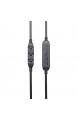 Magnat LZR 548 BT Bluetooth-Kopfhörer | Kabellos mit integriertem Mikrophon | Wireless In-Ear Headset für top Sound | Titanium schwarz