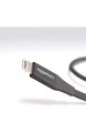 Basics Lightning auf USB A Kabel Apple MFi Zertifiziert - 10 cm 1er Pack Schwarz