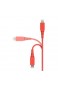  Basics Lightning auf USB A Kabel Apple MFi Zertifiziert - Rot 0 1 m 1er Pack