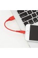 Basics Lightning auf USB A Kabel Apple MFi Zertifiziert - Rot 0 1 m 1er Pack
