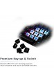DREVO SEER PRO Mini 61-Tasten-Tastatur mit kabelgebundenem/drahtlosem Bluetooth 5.1 mechanische Tastatur RGB-Beleuchtung US-Layout Gateron-Schalter (Rot Switch Schwarz)