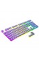 HK Gaming 108 Double Shot PBT Pudding Tastenkappen Keyset für mechanische Gaming-Tastatur MX Switches (Lavendel)