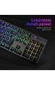 LANGTU Gaming Tastatur mit LED Hintergrundbeleuchtung QWERTZ Deutsche Layout Wired Tastatur19 Tasten Anti-ghosting 12 Multimedia-Tastaturkürzel mit 1.7m USB Kabel für Windows