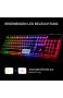 QWERTY US Layout LANGTU Membrane Gaming Tastatur Wired mit Regenbogen LED Hintergrundbeleuchtung 25 Tasten Anti-Ghosting 104 Tasten LED Tastatur Weiß/Silber L1