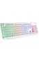 QWERTY US Layout LANGTU Membrane Gaming Tastatur Wired mit Regenbogen LED Hintergrundbeleuchtung 25 Tasten Anti-Ghosting 104 Tasten LED Tastatur Weiß/Silber L1