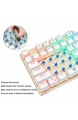 Z-88 Kleine Mechanische Tastatur DIY Schalter mit RGB LED-Beleuchtung Kompakte 81 Tasten US-Layout Keyboard (QWERTY) (Outemu Blue Roségold)
