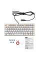 Z-88 Kleine Mechanische Tastatur DIY Schalter mit RGB LED-Beleuchtung Kompakte 81 Tasten US-Layout Keyboard (QWERTY) (Outemu Blue Roségold)