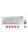 CHERRY DW 8000 RF Wireless QWERTZ Deutsch Silber Weiß Tastatur - Tastaturen (Standard Kabellos RF Wireless QWERTZ Silber Weiß Maus enthalten)