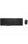 Rapoo X1800S kabelloses Tastatur-Maus-Set  2.4 GHz Wireless via USB 1000 DPI optischer Sensor DE-Layout QWERTZ schwarz