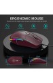 Jelly Comb Beleuchtete Maus mit Kabel Kabelgebundene Maus mit RGB Beleuchtung 4 leise Tasten 1600 DPI Optische Maus für Computer Laptop Mac(Rot)
