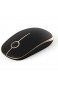 Kabellose Bluetooth Maus Jelly Comb 2.4G+Bluetooth Maus Schnurlos Wireless Optische Bluetooth Maus für PC/Tablet/Laptop und Windows/Mac/Linux (Bluetooth+2.4G-Schwarz und Gold)