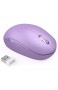 seenda Leise 2.4 GHz Kabellose Maus mit Nano-USB-Empfänger 1600 DPI Optischer Sensor für PC Laptop usw Violett