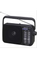 Panasonic RF-2400DEG-K Tragbares Radio mit Griff Netz- oder Batteriebetrieb schwarz & RP-HT010E-A Bügelkopfhörer (1 2m Kabellänge; Kopfhörer Klinkenstecker; geringes Gewicht) blau